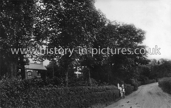 Piercing Hill, Theydon Hill, Essex. c.1913
